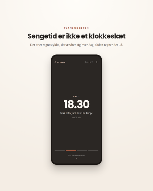 Nætterne — fjorten aftener med en plan